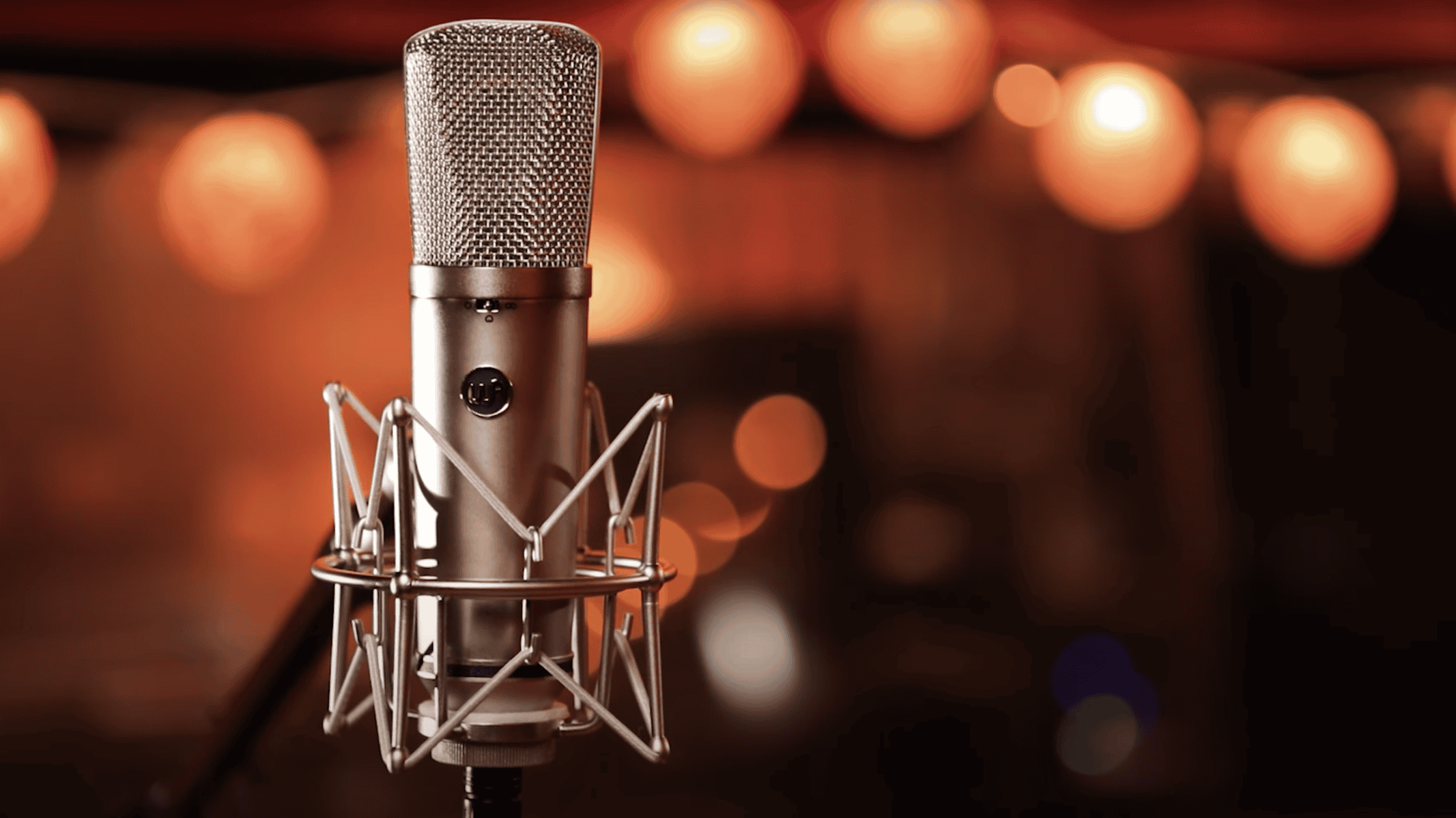 Warm Audio WA-87 R2 Review: A Great Mic At a Great Price