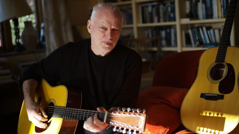 C.F. Martin D-35 David Gilmour Signature Guitars