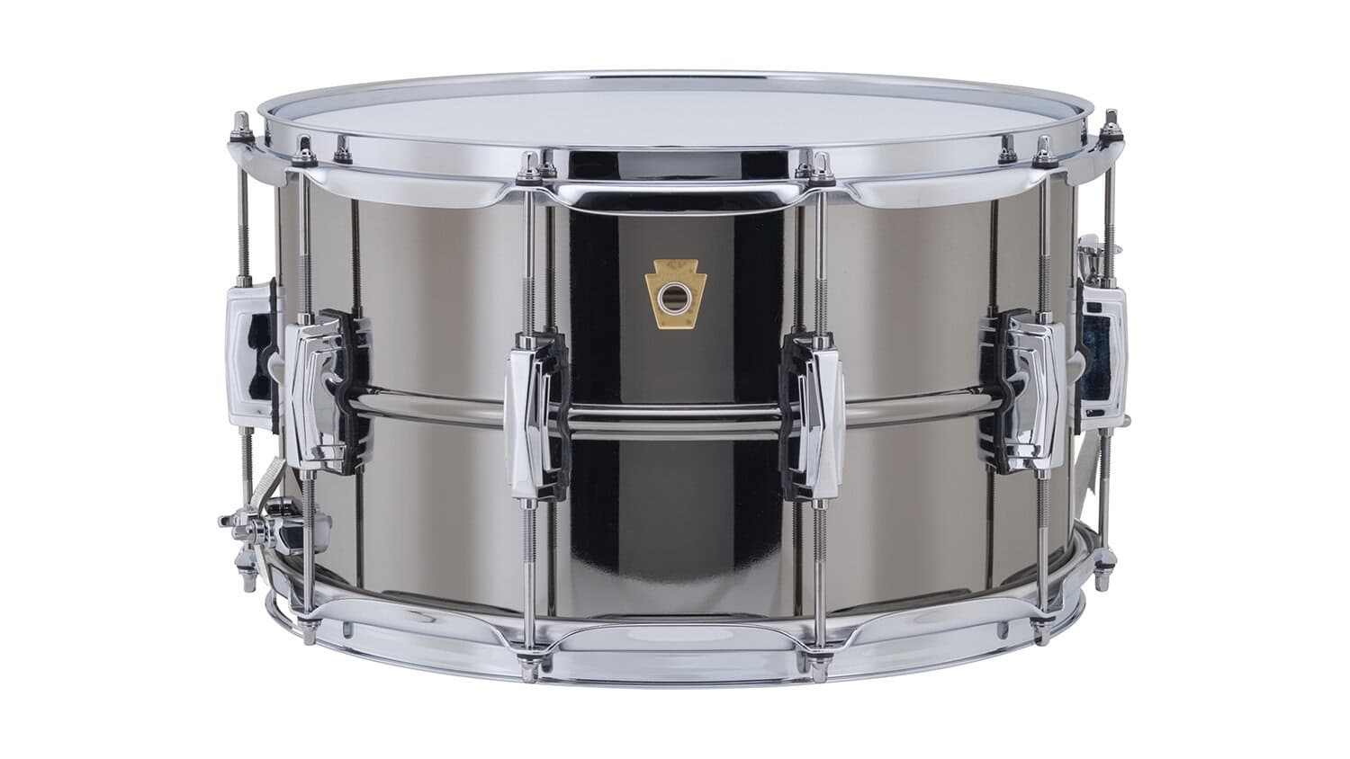 Ludwig Black Beauty